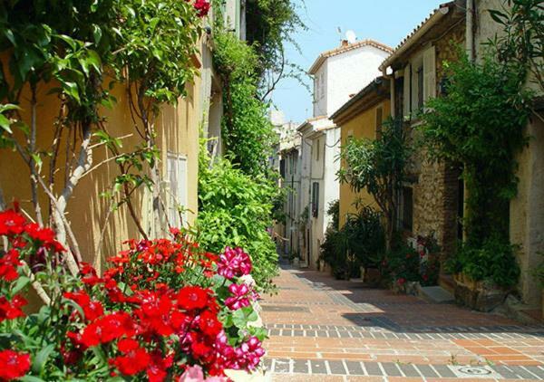 Appartement Vieil Antibes Exterior foto